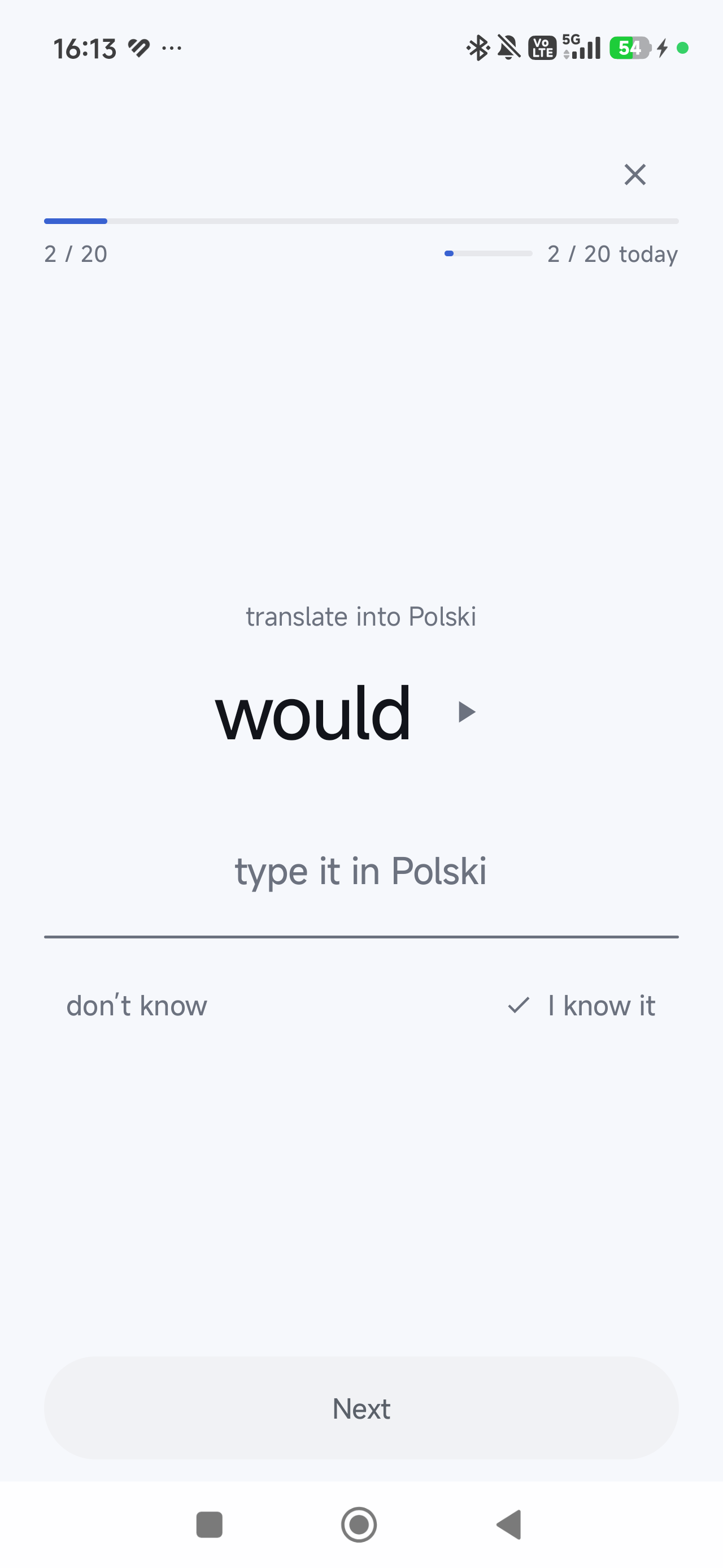 SayIt presents a word and asks you to type the translation.